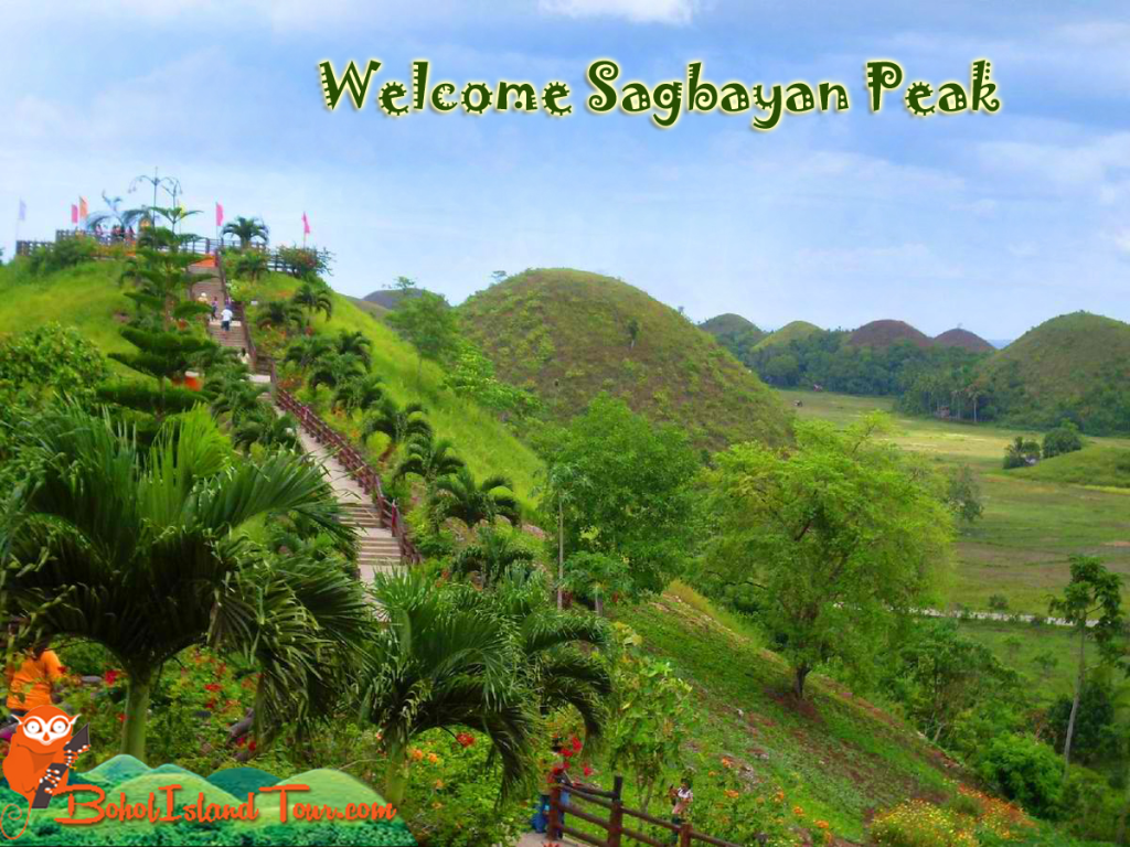 Sagbayan Peak, Bohol: A Panoramic Paradise