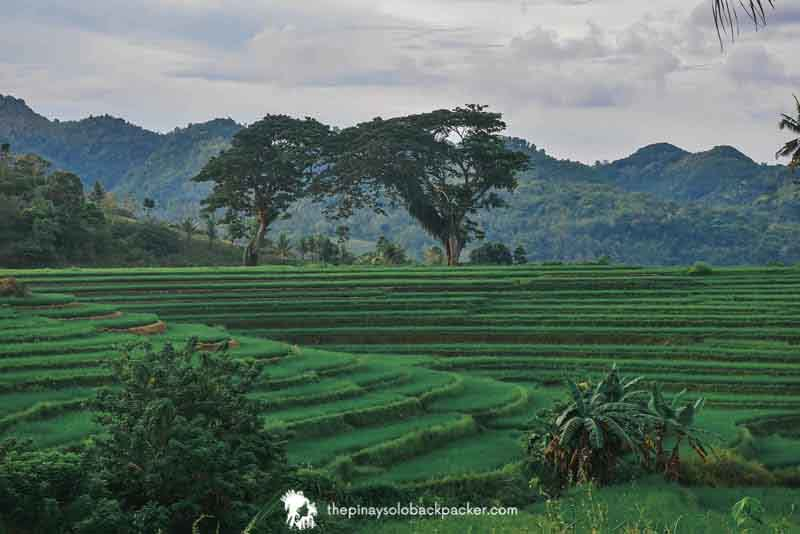 Candijay, Bohol: Unveiling Nature's Secrets