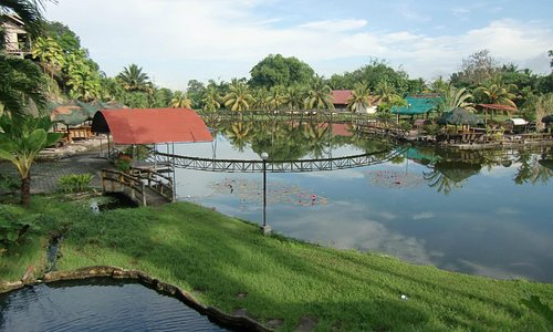 Koronadal City: Where Culture, Agriculture, and Progress Converge