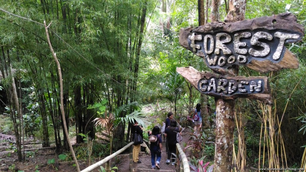 Forest Wood Garden in Dingalan, Aurora: Nature's Tapestry Unveiled