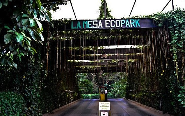 La Mesa Eco Park: A Green Haven in Quezon City's Urban Heart