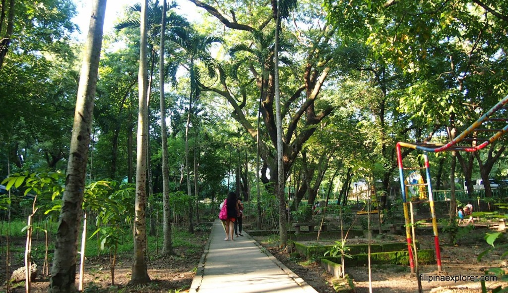 Mount Arayat National Park Pampangas Majestic Sanctuary Of Nature And Heritage 菲爱生活 8612