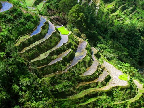 Banaue Rice Terraces: The Eighth Wonder of the World in Ifugao