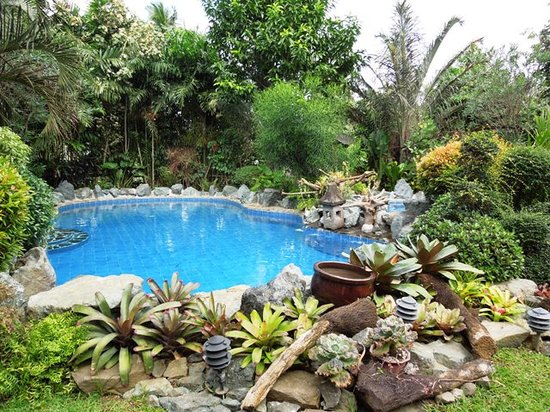 A Tranquil Oasis: Cintai Corito's Garden – A Hidden Gem