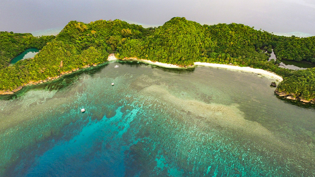 Danjugan Island: A Hidden Ecological Gem in Negros Occidental